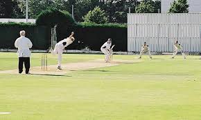 Image result for Hainault & Clayhall Cricket Club