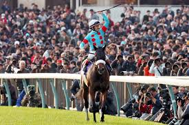 Image result for Almond Riding Club