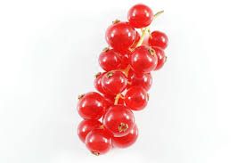 Bildergebnis für rote johannisbeeren