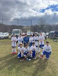 Image result for Skye Camanachd