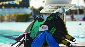 Image result for Swansea Finswimming Club