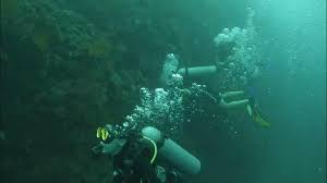 Image result for Abyss Dive Club