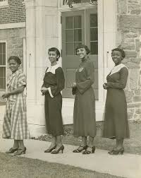 Attēlu rezultāti vaicājumam “Collaria rubens young”