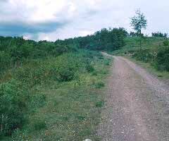 Attēlu rezultāti vaicājumam “Clossiana selene upperside”