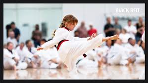 Image result for Shotokan Karate