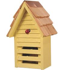 Image result for ladybug house