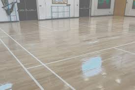 Image result for Horrabridge Badminton Club