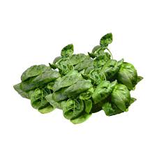 Image result for Spinat