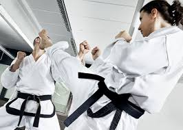 Image result for Nottingham Sankukai Karate