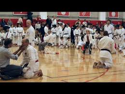 Image result for Total Body Defence Goshinkwai