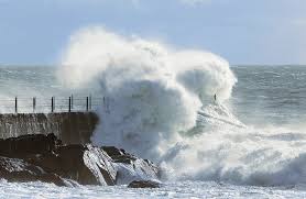 Image result for 高潮 津波 別物