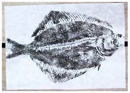 Image result for Platichthys flesus