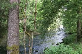 Image result for vallorbe tehron