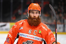 Image result for Sheffield Steelers