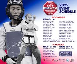 Image result for Taekwondo Athletes Program USA