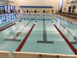 Image result for Cults Otters Amateur Swimming Club