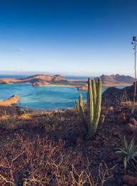 Image result for FOTO DE PAZ