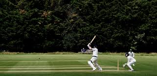 Image result for Millom Cricket Club