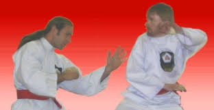 Image result for Silat Perisai Diri Classes Club