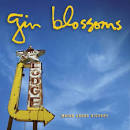 Gin Blossoms Picture 2