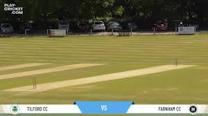 Image result for Wrecclesham Cricket Club