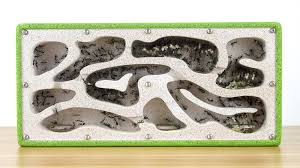 Image result for ytong ants