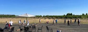 Image result for Tregony Petanque Club