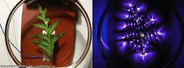 Image result for Jakub Jodko-Narkiewicz Kirlian