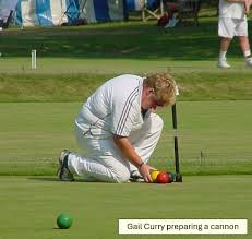 Image result for Ellesmere Croquet Club
