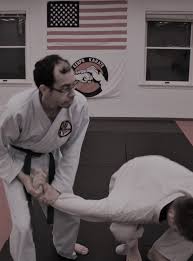 Image result for Phoenix Martial Arts