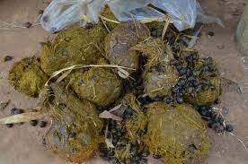 名物糞コテ에 대한 이미지 검색결과