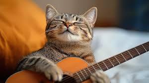 Image result for Cat sleeping in guitar