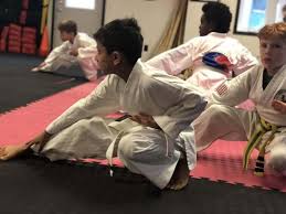 Image result for Soncho Karate Club
