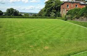 Image result for Offerton Social Club (Play At Stockport