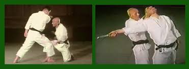 Image result for Independent Wadoryu Karate Federation