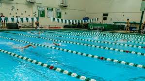 Image result for Dartmouth Badminton Club