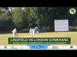 Image result for Lingfield Cricket Club