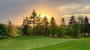 Image result for Carlow Golf Club