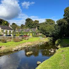 Image result for Rostrevor Hurling Club