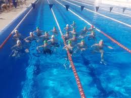 Image result for Kingsbridge Kingfishers Swimming Club