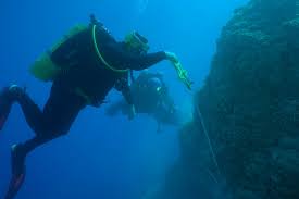 Image result for Blue Water Diving