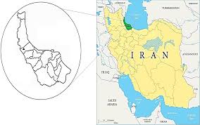 Attēlu rezultāti vaicājumam “Sciuro-hypnum curtum sporophyte”