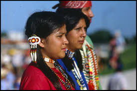 Attēlu rezultāti vaicājumam “Comatricha alta young”