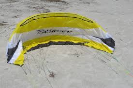 Image result for Baiter Power Kite