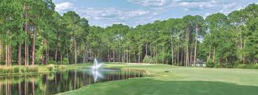 Image result for Dolphina Gc