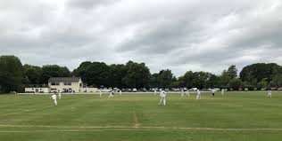 Image result for Nelson Cc