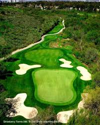 Image result for Strawberry Hill Golf Club