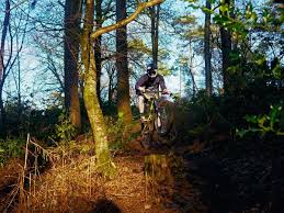 Image result for Epping Forest Mountain Bike Club