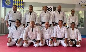 Image result for Ryuko Dojo
