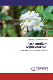 Attēlu rezultāti vaicājumam “Apocynaceae”